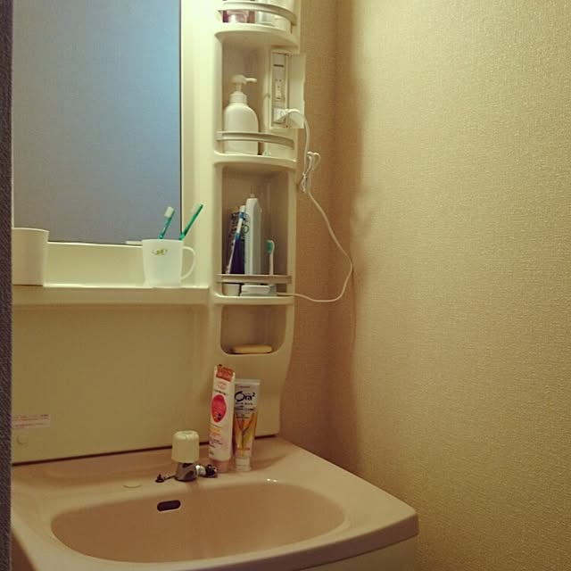 Mizubasyoさんの実例写真
