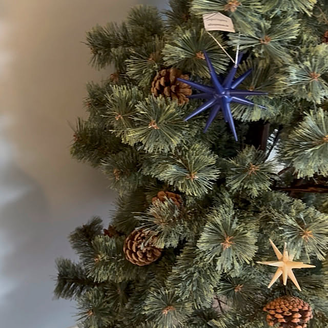 tantanmaruさんの部屋