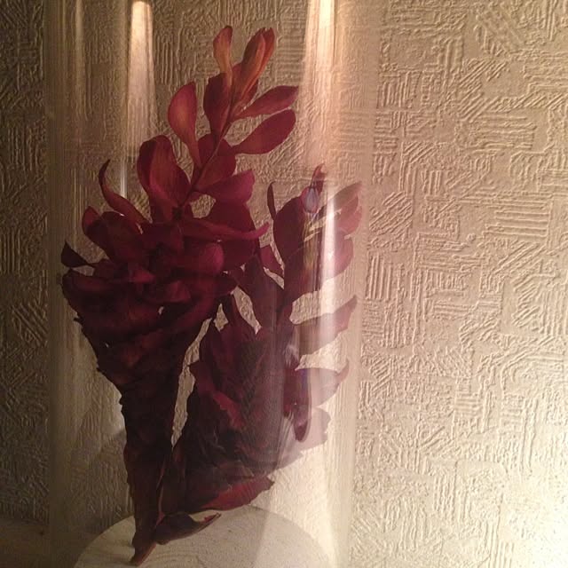 Bobさんの実例写真