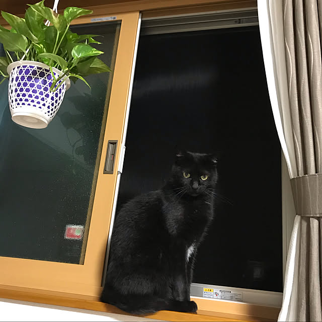 TARACOさんの実例写真