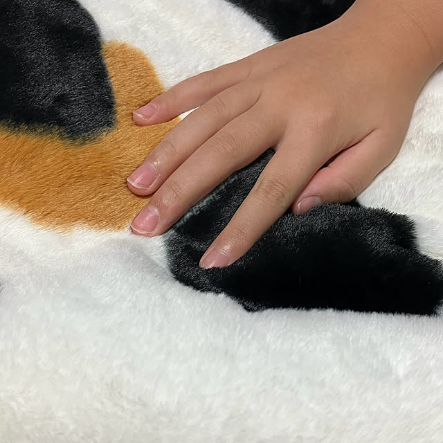 koshiregutyoさんの実例写真