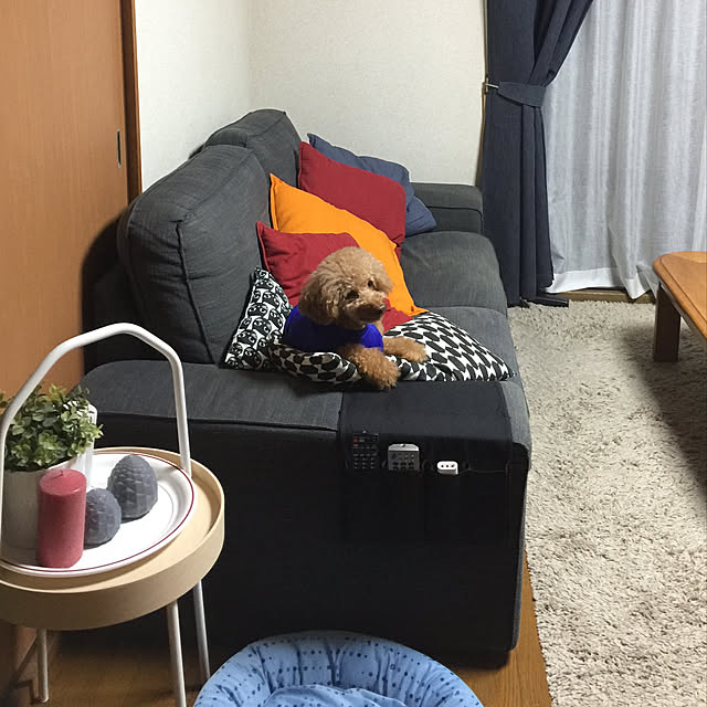 sanaeniconicoさんの実例写真