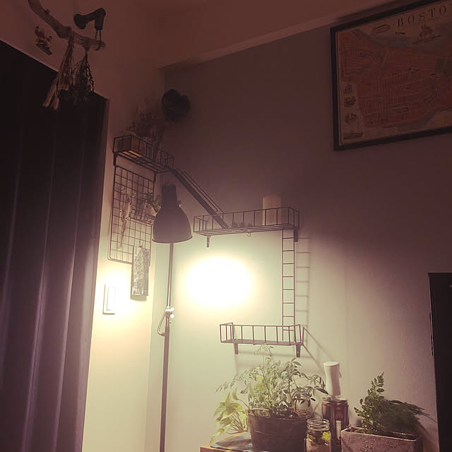 goma..さんの実例写真