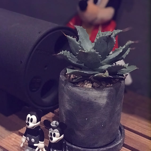 sugitakuさんの実例写真