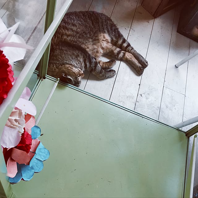 NAOMIさんの実例写真