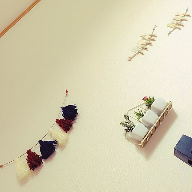 misnさんの実例写真