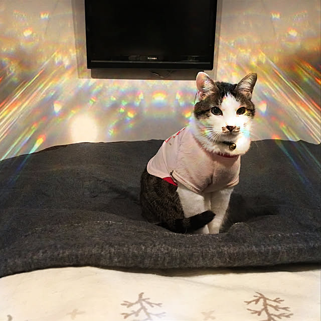 HomeSweetHomeさんの実例写真