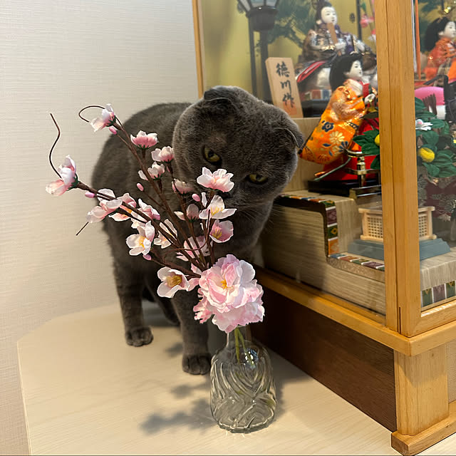 manaさんの実例写真