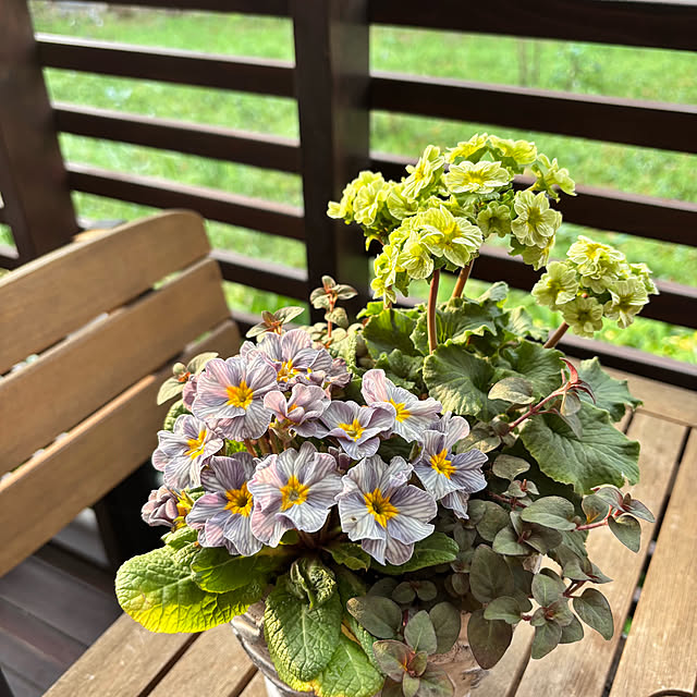 kyoko1124koさんの部屋