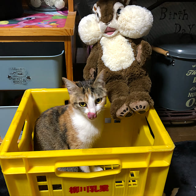vivienne.coco-keiさんの実例写真
