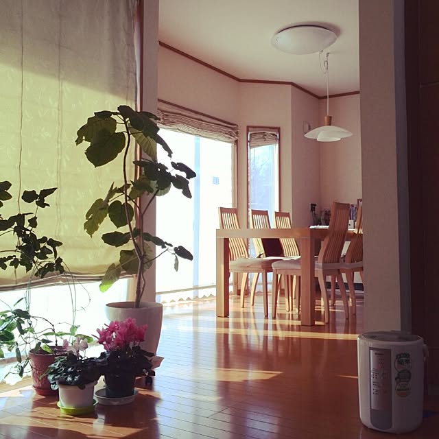 ebimasaさんの実例写真