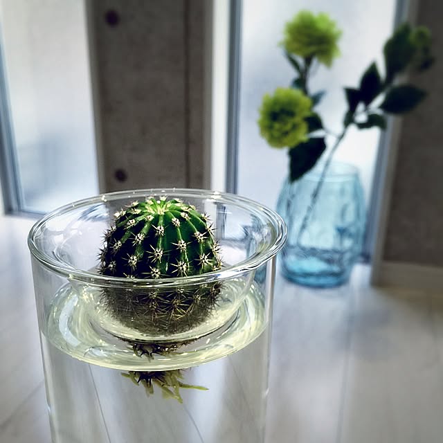 kazuya.designさんの実例写真