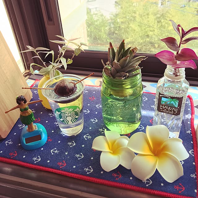 ariceさんの実例写真