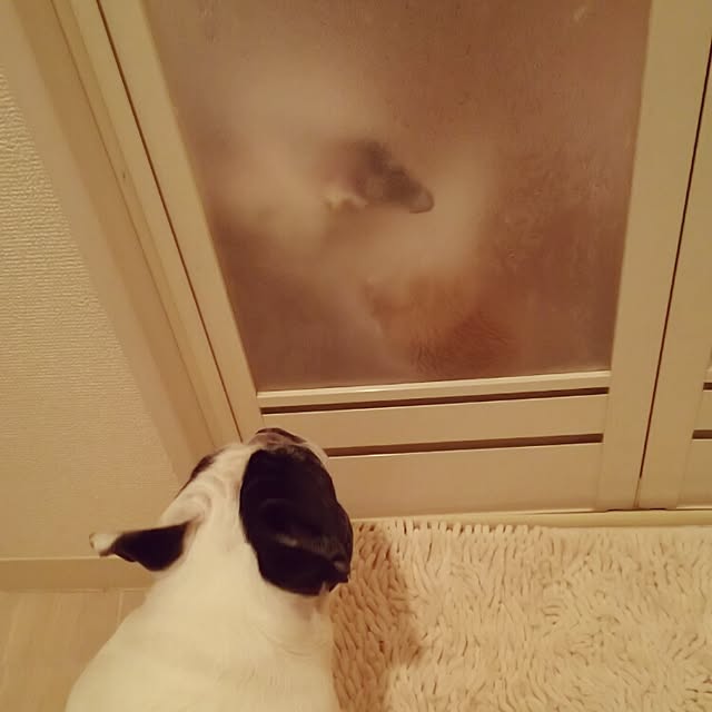panchobiさんの実例写真