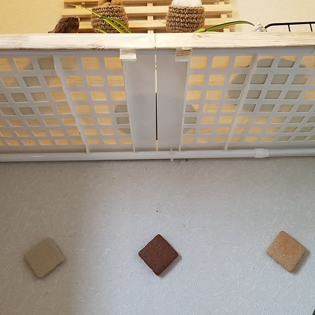 midoriさんの部屋