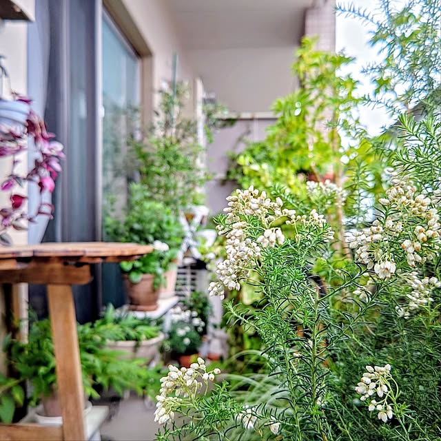 YuriYuriさんの部屋