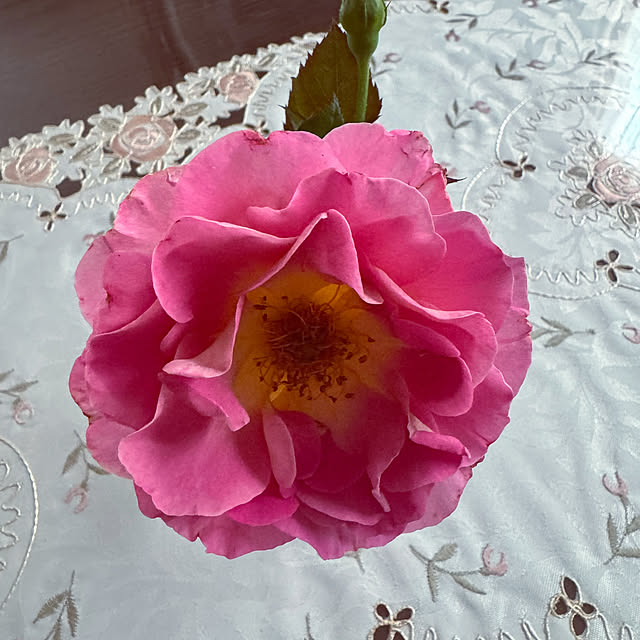 RoseLife5818さんの部屋