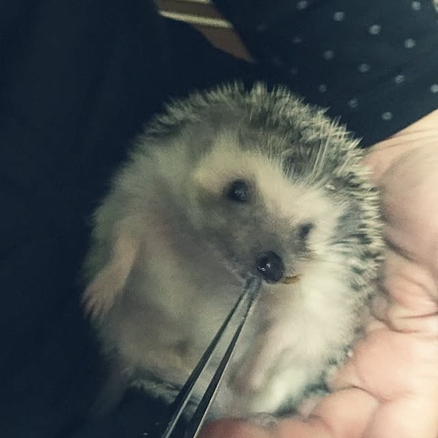 RURULOVEさんの実例写真