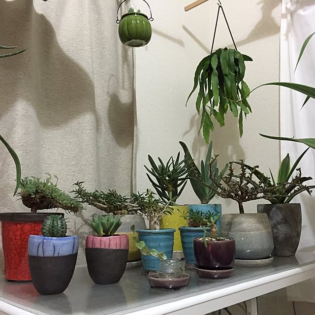 実例写真