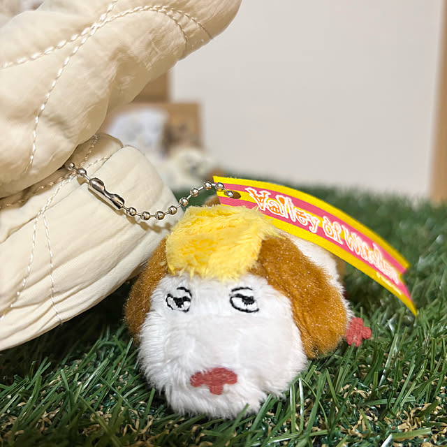 chachamamaさんの部屋