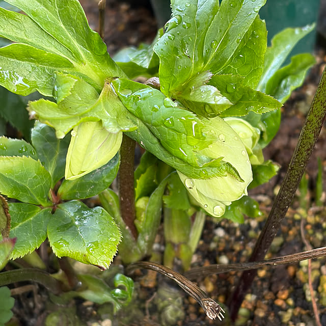 buchiさんの部屋