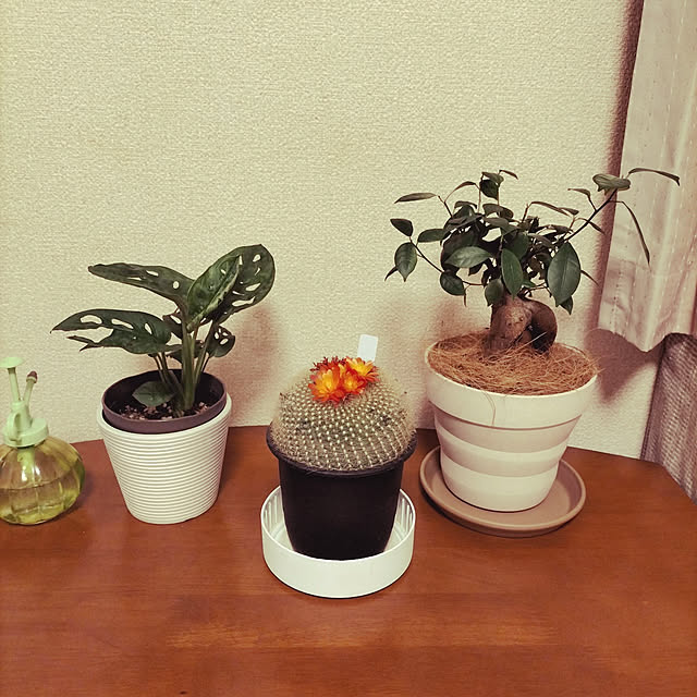 kn74さんの実例写真