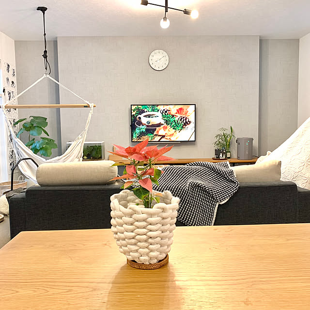 Minteaさんの部屋