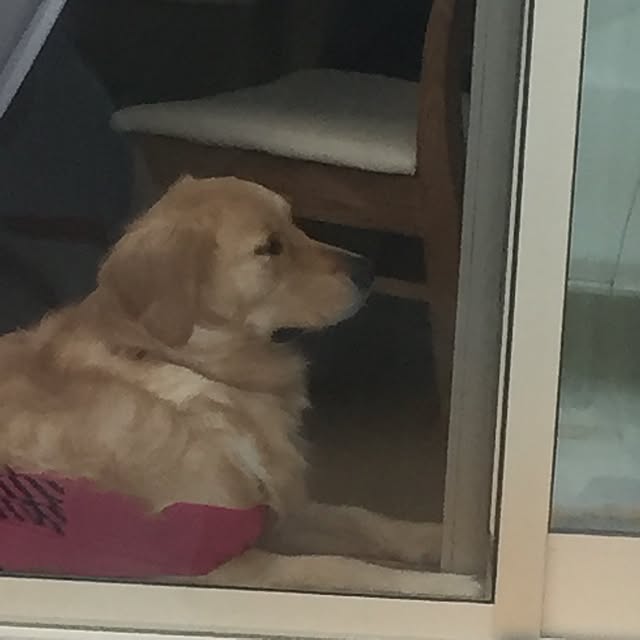 Kazueさんの実例写真