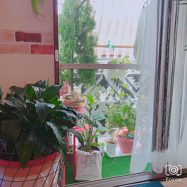 y..mama..さんの実例写真