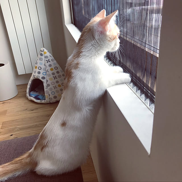 makimakiさんの実例写真