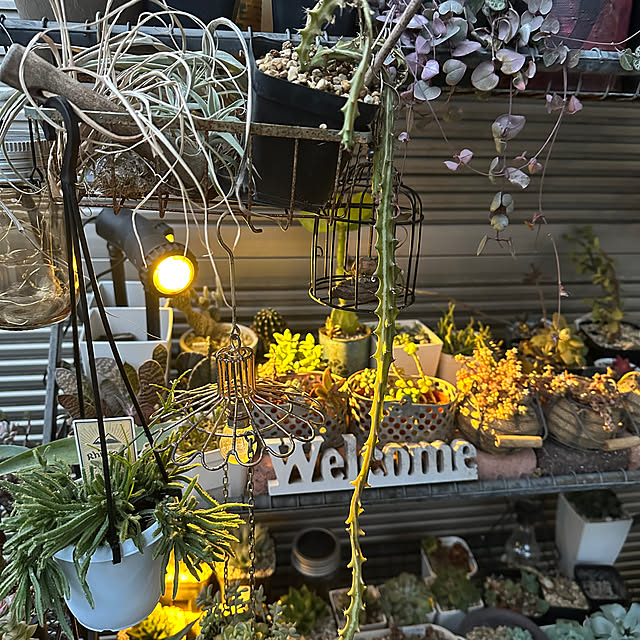 yaiyaiさんの部屋