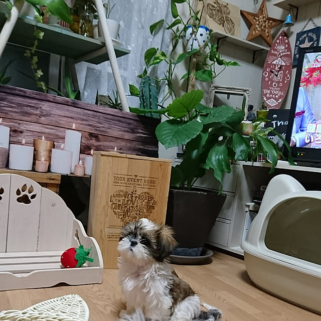 Reiさんの実例写真