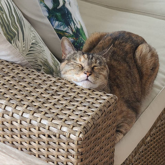 Miichiさんの実例写真