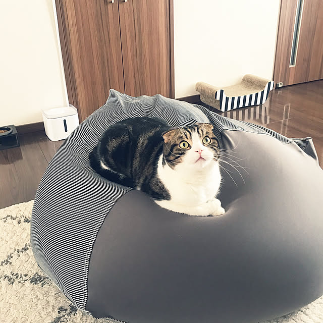 tansukeさんの実例写真