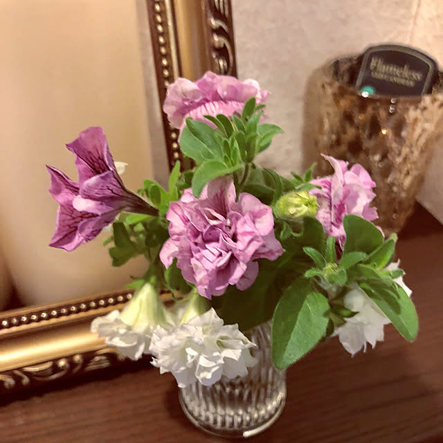 ange.zuzuさんの実例写真