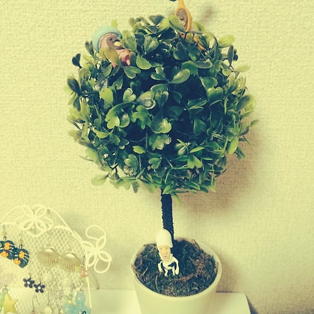 licaさんの実例写真
