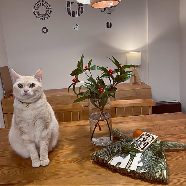 hiyupan88さんの実例写真