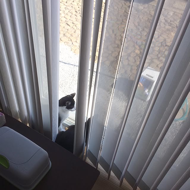 aruさんの実例写真