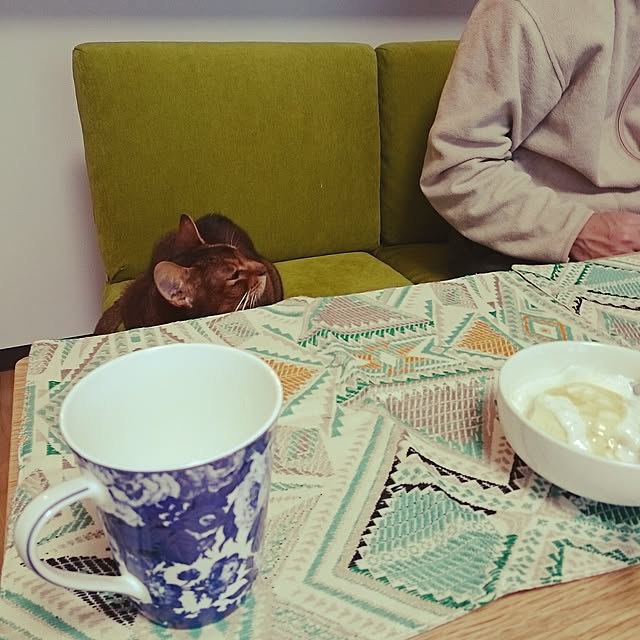 gruenさんの実例写真