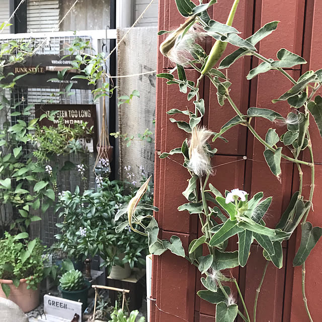 bibianさんの実例写真