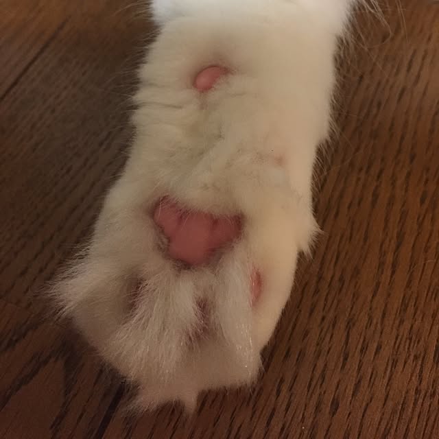 keibooさんの実例写真
