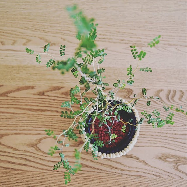 hugkazuさんの実例写真