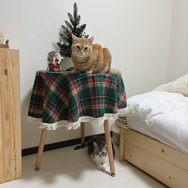 Atelier.mさんの実例写真