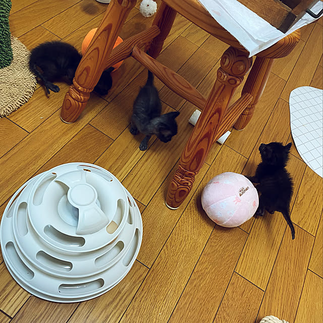 prelumoさんの実例写真