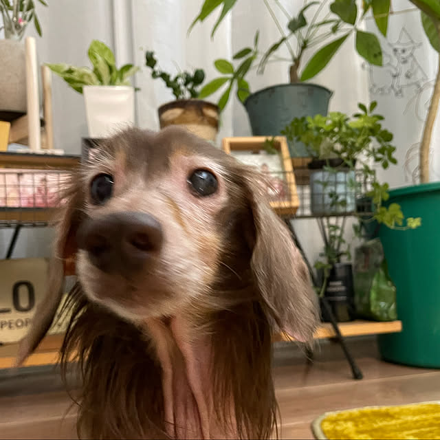 asさんの実例写真
