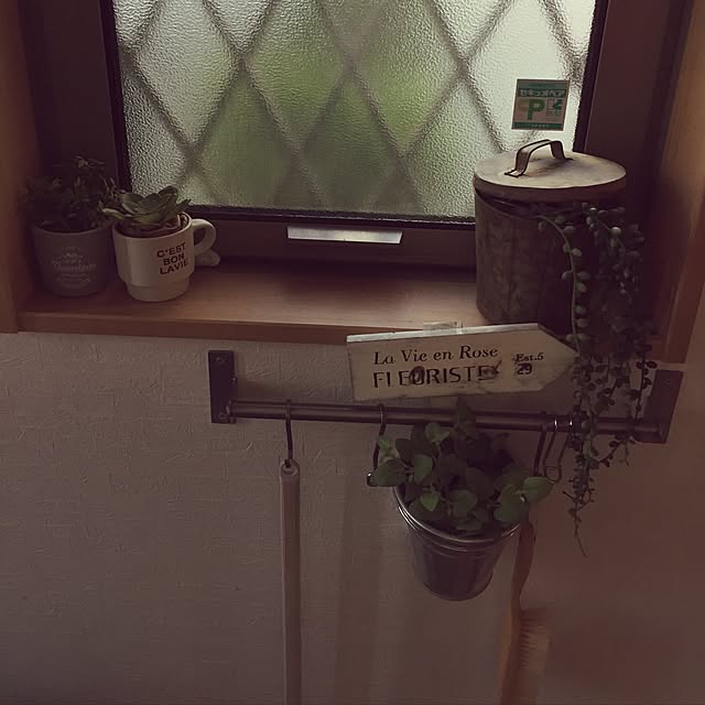 玄関/入り口/フェイクグリーン/セリア/雑貨/多肉植物のインテリア実例 - 2017-07-14 17:11:36