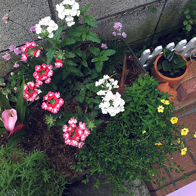 mimichankさんの実例写真