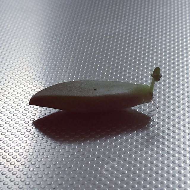 zukkoさんの実例写真