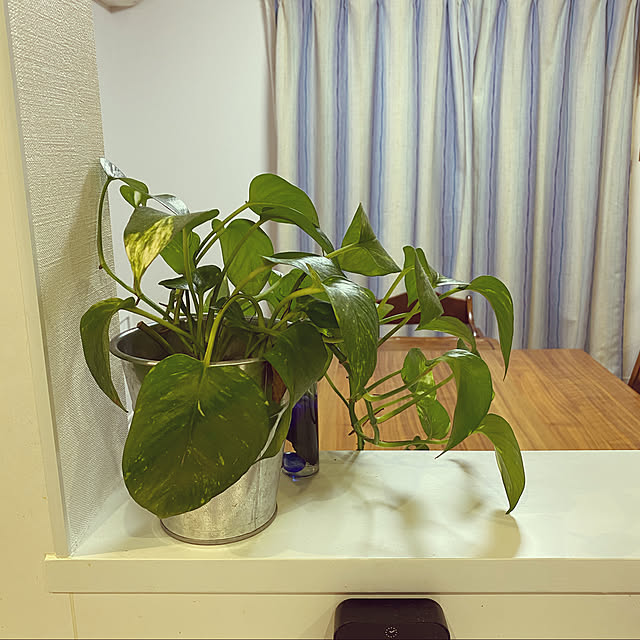 maachanさんの実例写真
