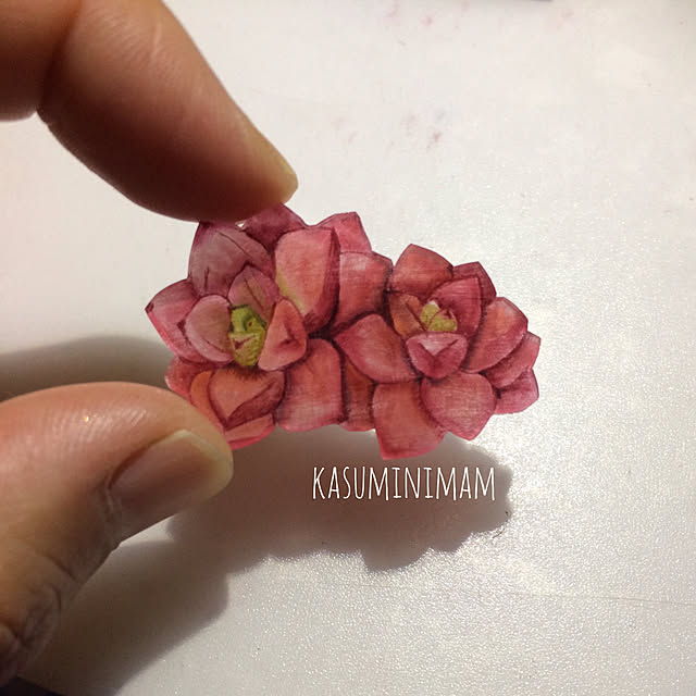 kasuminimamさんの実例写真
